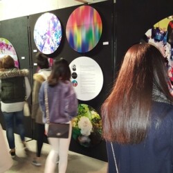 Art Show Exhibition display boards